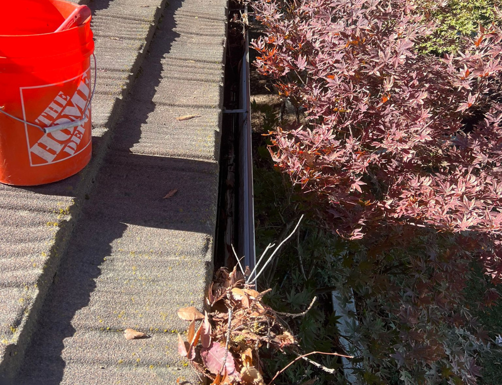 Gutter Cleaning