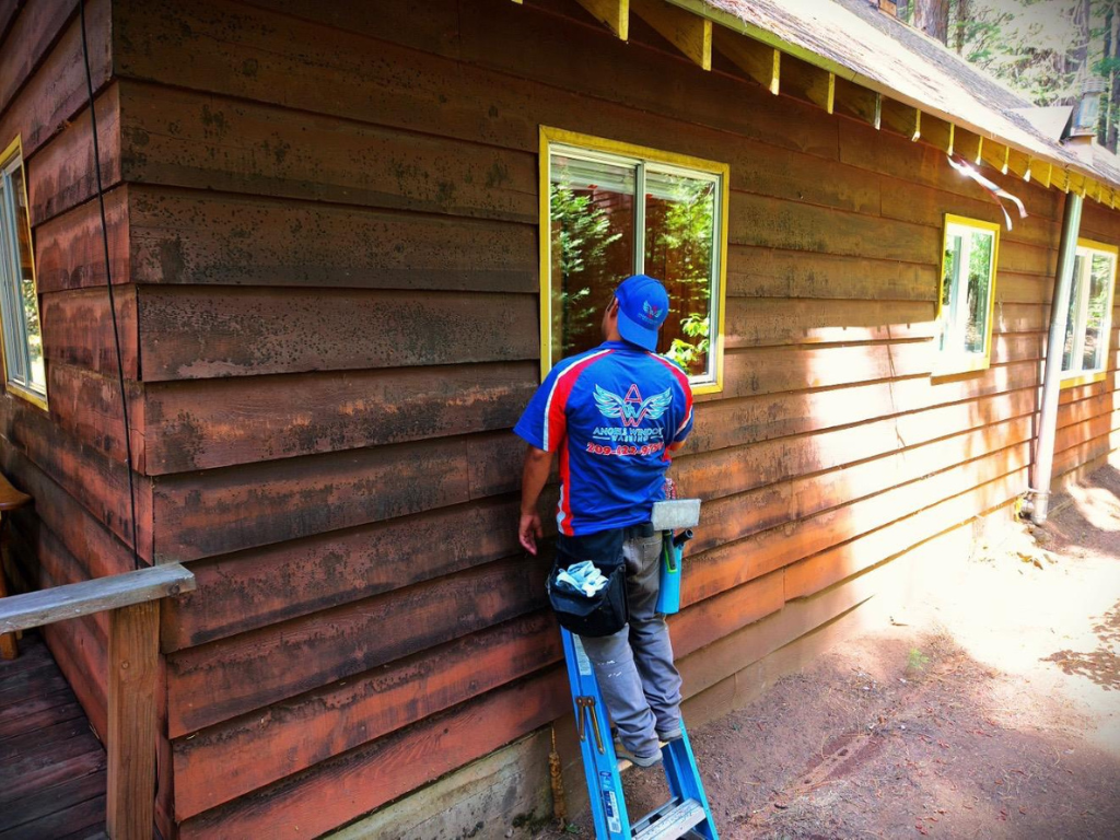 Professional Window Cleaners